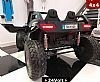 24Volt Buggy Carbon with 2.4G R/C