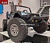 24Volt Buggy Carbon with 2.4G R/C