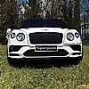 Bentley Continental Supersports with 2.4G R/C under License